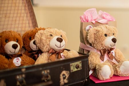 Koncert Stari medo (6)